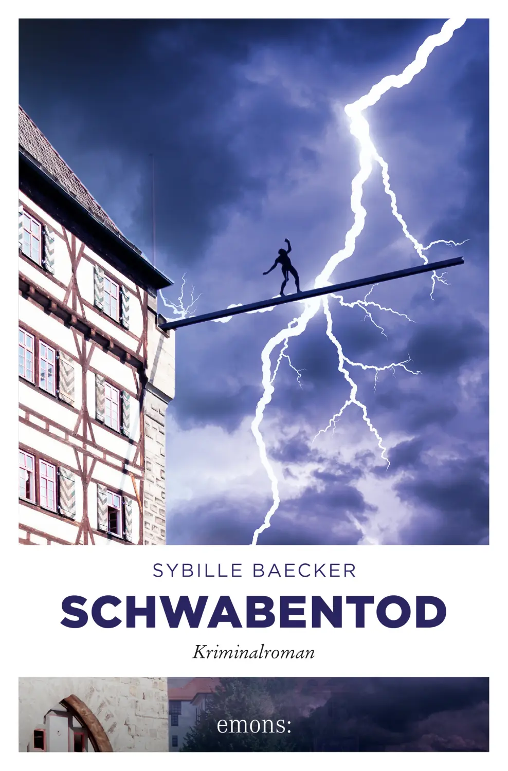 Cover eines Buches - Schwabentod