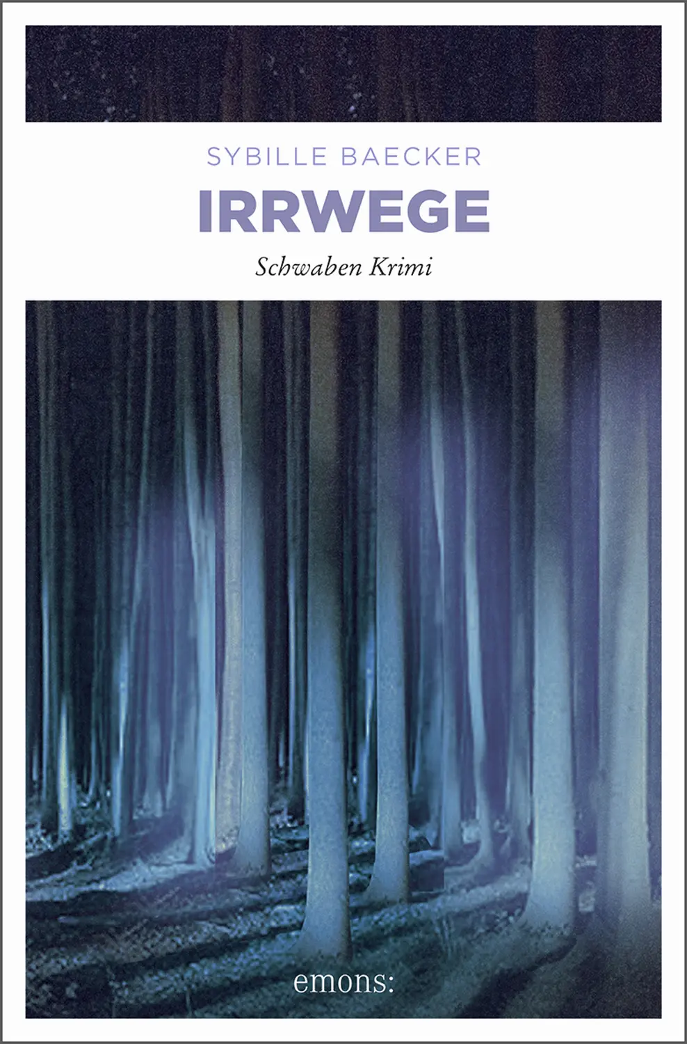 Cover eines Buches – Irrwege